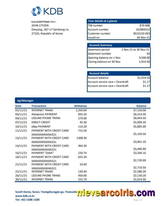 South Korea KDB bank statement easy to fill in Excel and PDF format